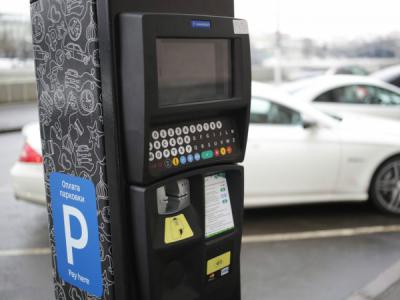 Рязанские активисты ОНФ предложили властям сделать бесплатными парковки для многодетных